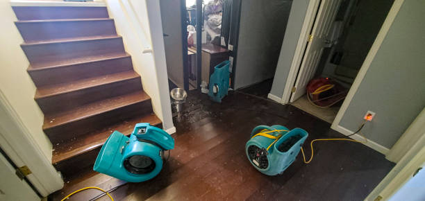 Best Basement water damage restoration  in Geneva, AL