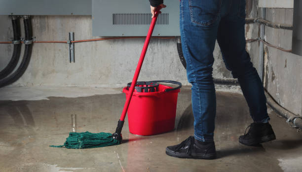 Best Fire Damage Restoration  in Geneva, AL