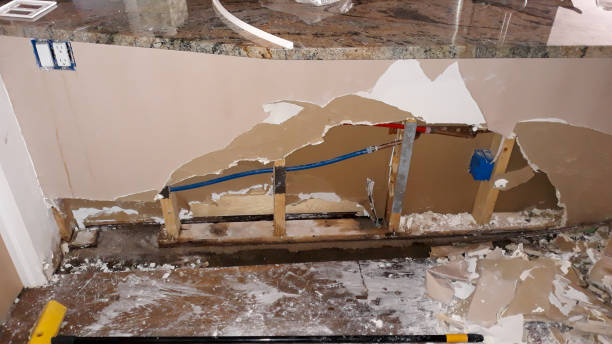 Best Sewage cleanup and water damage restoration  in Geneva, AL