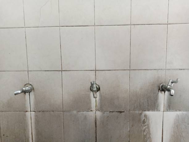  Geneva, AL Water damage restoration Pros